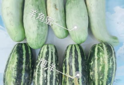 网红最新吃瓜爆料